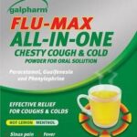 GALPHARM Flu Max all-in-one sachets /1000mg  10