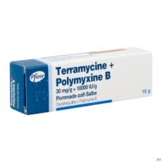 Terramycin Ointment | 15 g