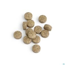 Biotics Cytozyme-LV | 60 tablets