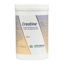 DeBa Pharma Creatine Monohydrate Powder | 1000 g