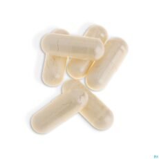 Biotics Amino Sport | 180 capsules
