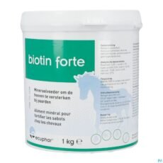 Biotin Forte Powder | 1 kg