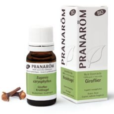 Pranarôm Essential Oil Clove Bio | 10 ml