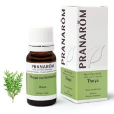 Pranarôm Essential Oil Thuya | 10 ml