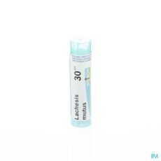 Boiron Lachesis Mutus 30CH Granules | 4 g