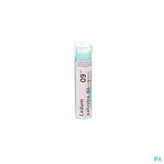 Boiron Ledum Palustre 9CH Granules | 4 g
