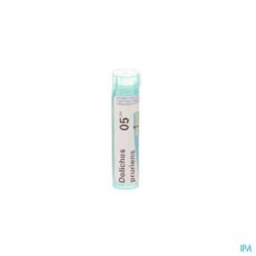 Boiron Dolichos Pruriens 5CH Granules | 4 g