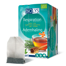 Biolys Thyme - Eucalyptus - Honey | 24 bags