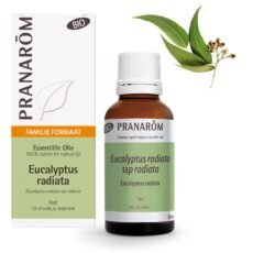Pranarôm Essential Oil Eucalyptus Radiata Bio | 30 ml