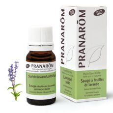 Pranarôm Essential Oil Lavender Sage Bio | 10 ml