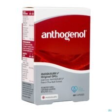 MasQuelier's Anthogenol | 60 capsules