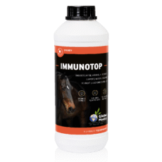 Global Medics Immunotop | 1 l