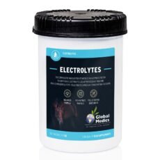 Global Medics Electrolytes Powder | 1 kg