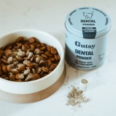 Gutsy Dental Powder | 120 g
