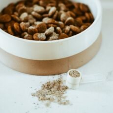 Gutsy Dental Powder | 120 g